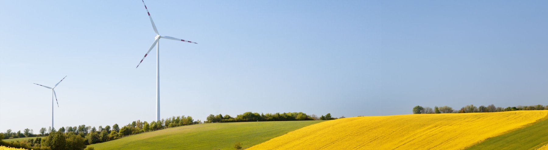 Auf hügeligen Rapsfeldern die gelb blühen stehen zwei Windkraftanlagen in der Landschaft.