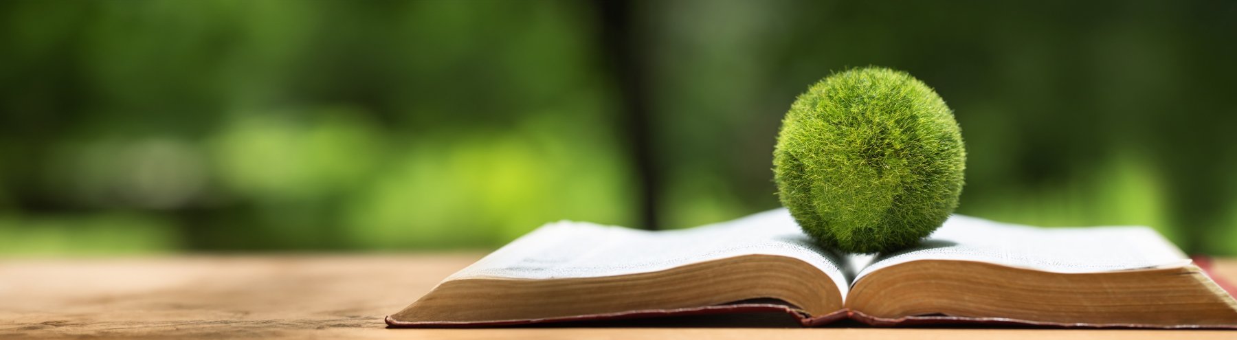 In einem geöffnetem Buch das in einem Wald liegt, liegt eine Weltkugel die aus Moos geformt ist. Das Bild ist vorwiegend grün.